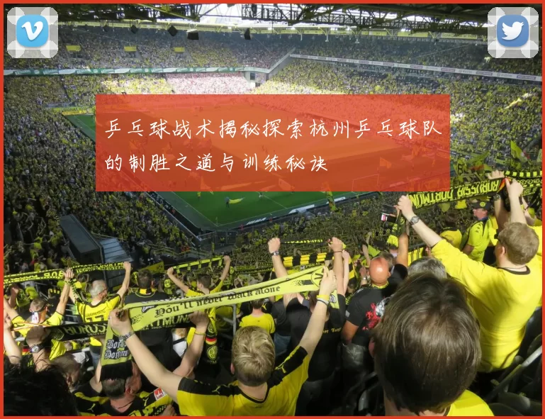 乒乓球战术揭秘探索杭州乒乓球队的制胜之道与训练秘诀